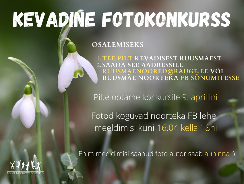 KEVADINE FOTOKONKURSS kodulehele Misso (1)