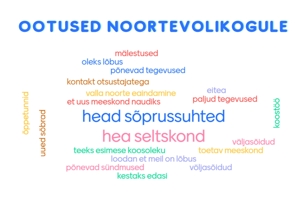 ootused_noortevolikogule