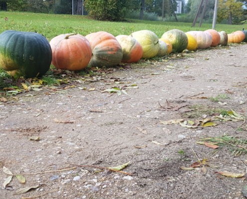 20210922_140240